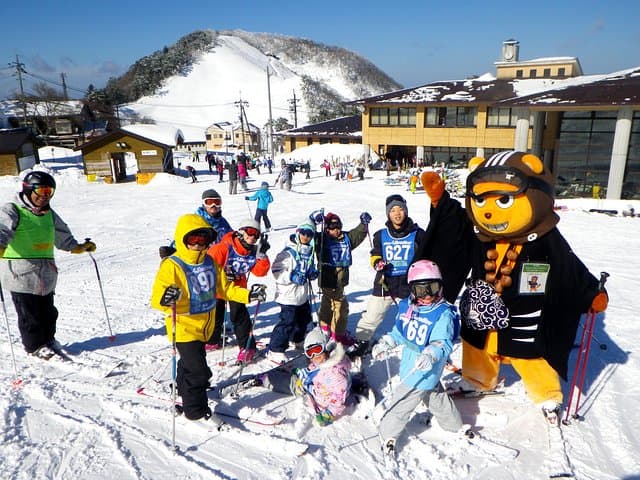 Private ski lesson for family or group(Transport included ) — photo 4