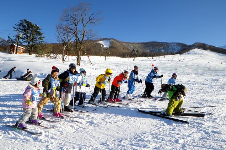 Private ski lesson for family or group(Transport included ) — photo 5