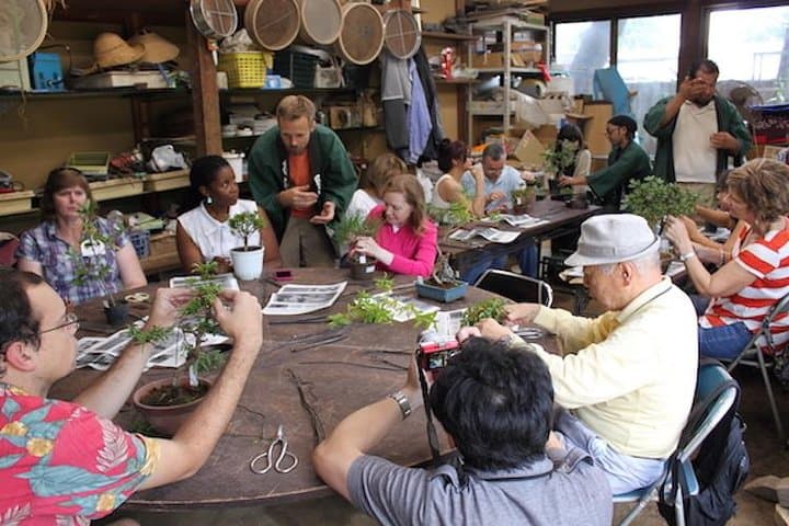 Make Your Own Bonsai with a Professional Bonsai Artist in Tokyo — photo 10