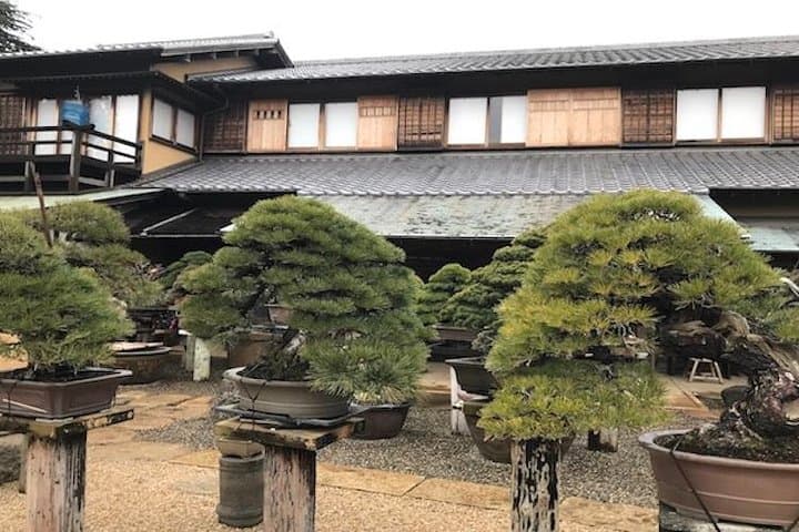 Make Your Own Bonsai with a Professional Bonsai Artist in Tokyo — photo 15