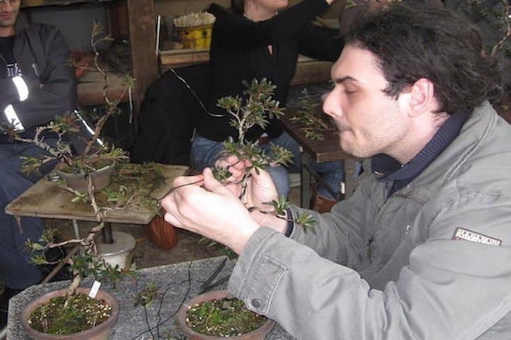 Make Your Own Bonsai with a Professional Bonsai Artist in Tokyo — photo 17