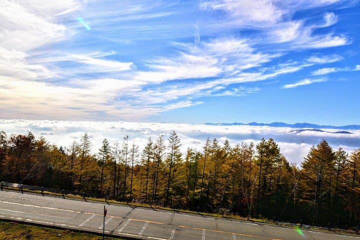 Mt Fuji Day Trip from Tokyo by Car with Photographer Guide — photo 10
