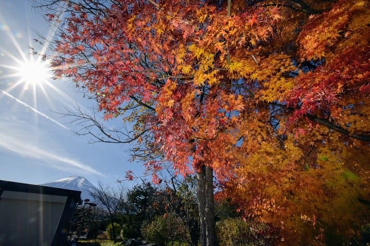 Gotemba outlet mall plus Lake Kawaguchi Or Hakone tour by chartered Van — photo 6