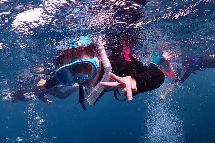 Scuba Diving (Fun Diving) — photo 2