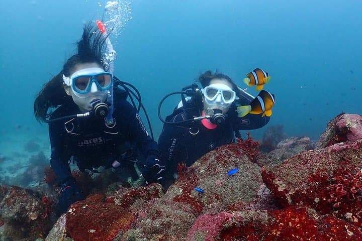 Scuba Diving (Fun Diving) — photo 3