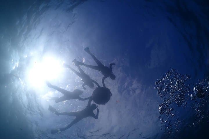 Scuba Diving (Fun Diving) — photo 4