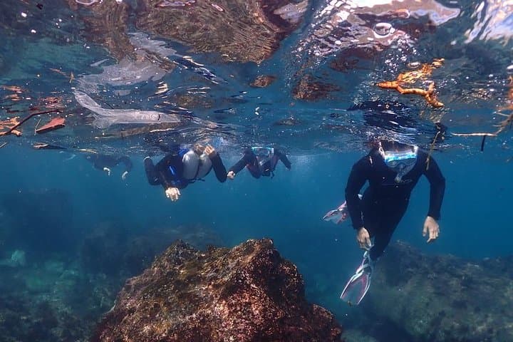 Scuba Diving (Fun Diving) — photo 5