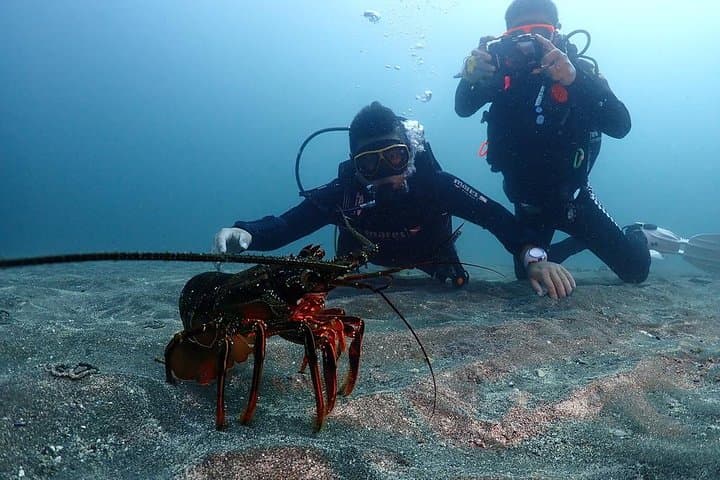 Scuba Diving (Fun Diving) — photo 6