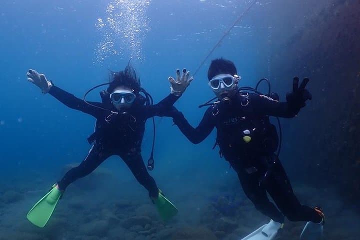 Scuba Diving (Fun Diving) — photo 8