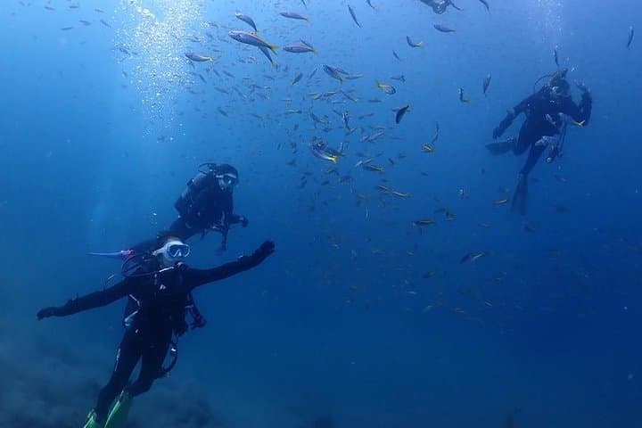 Scuba Diving (Fun Diving) — photo 9