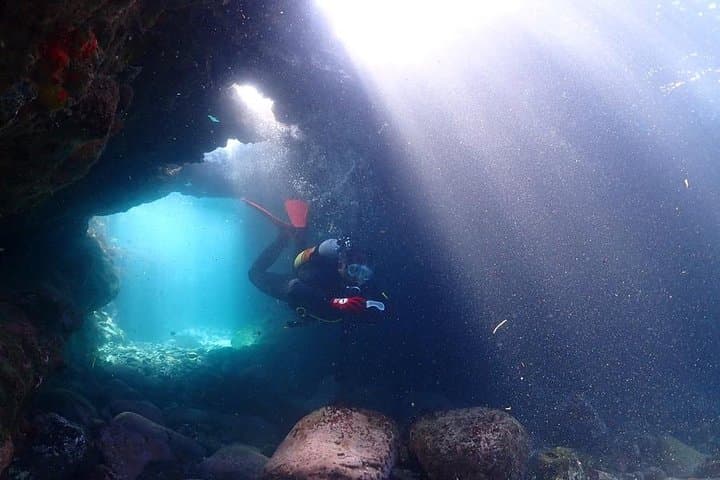 Scuba Diving (Fun Diving) — photo 10