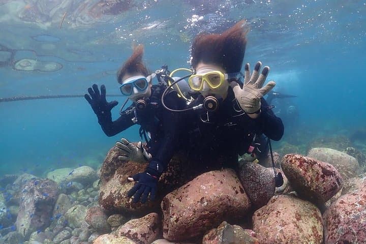 Scuba Diving (Fun Diving) — photo 12