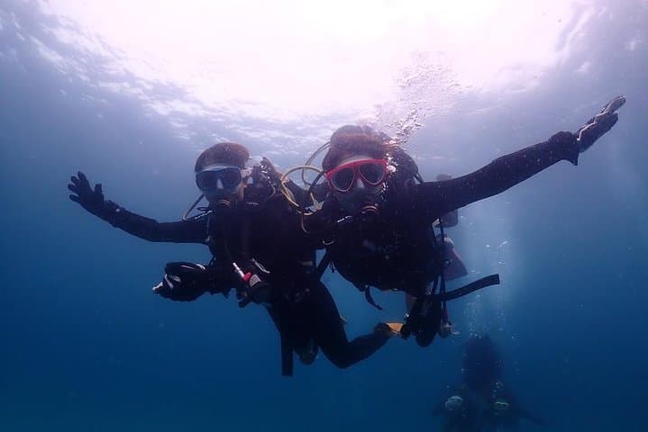 Scuba Diving (Fun Diving) — photo 13