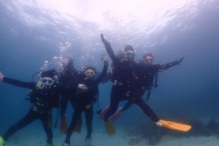 Scuba Diving (Fun Diving) — photo 14