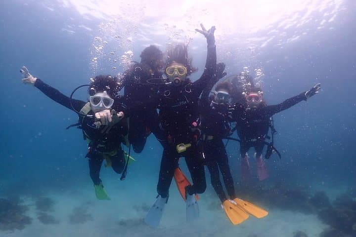 Scuba Diving (Fun Diving) — photo 15