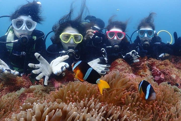 Scuba Diving (Fun Diving) — photo 16