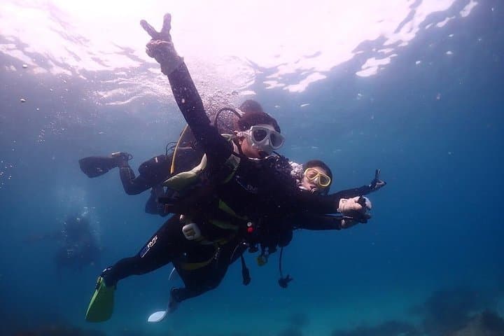 Scuba Diving (Fun Diving) — photo 17