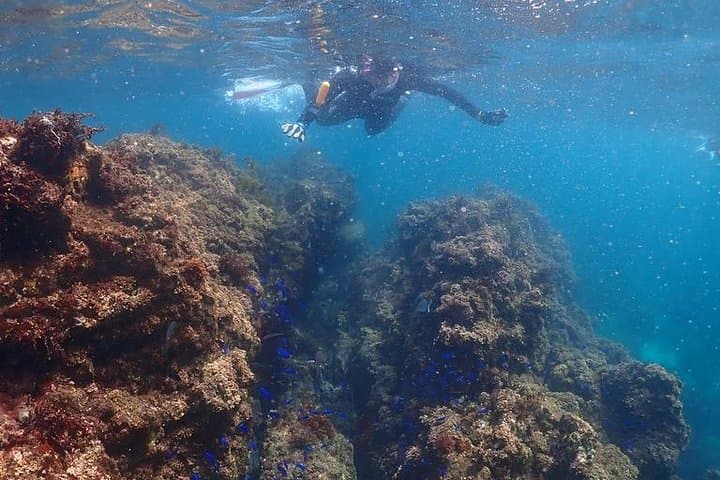 Scuba Diving (Fun Diving) — photo 19