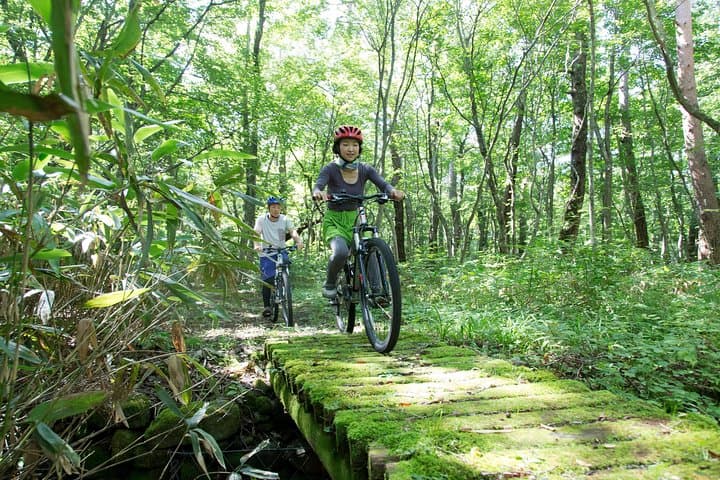 Downhill Biking include lunch experience — photo 4