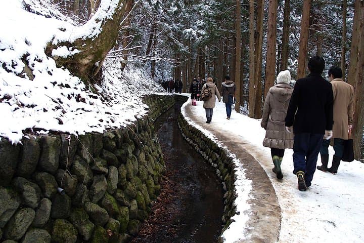 Explore Jigokudani Snow Monkey Park with a Local Guide — photo 8