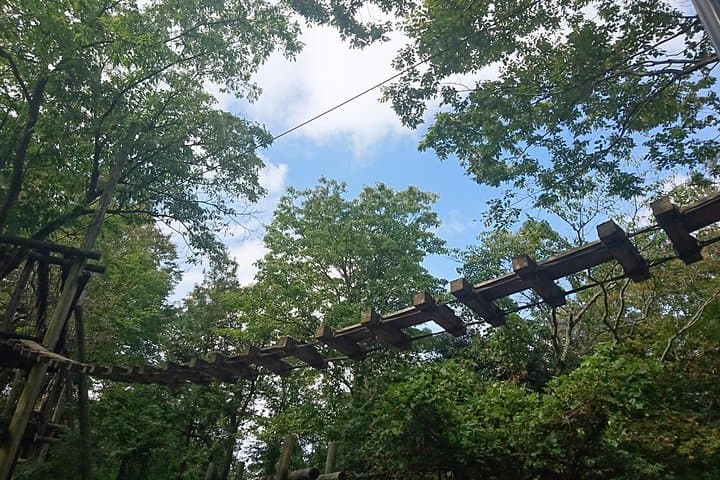 Aerial athletics (Zipline adventure) — photo 3