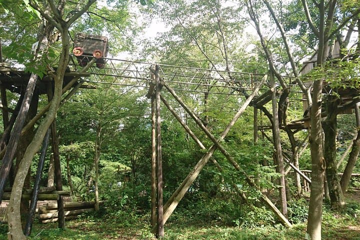 Aerial athletics (Zipline adventure) — photo 4