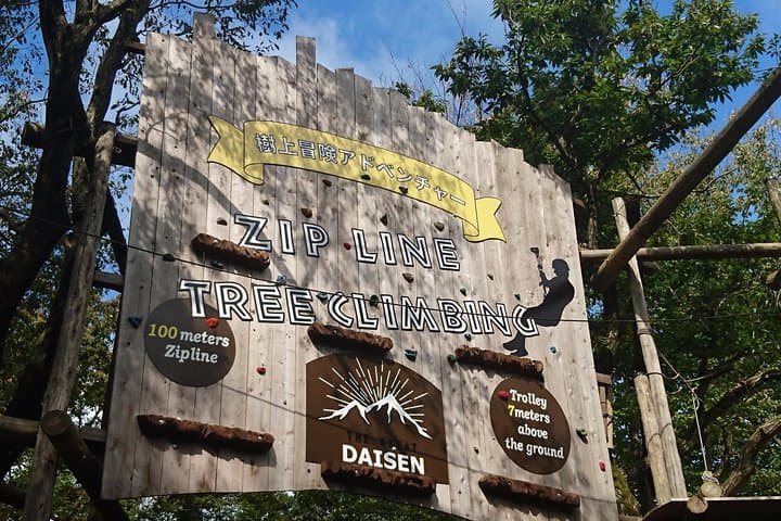 Aerial athletics (Zipline adventure) — photo 5