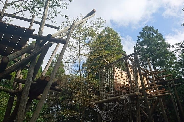 Aerial athletics (Zipline adventure) — photo 6