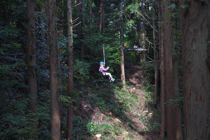 Aerial athletics (Zipline adventure) — photo 7