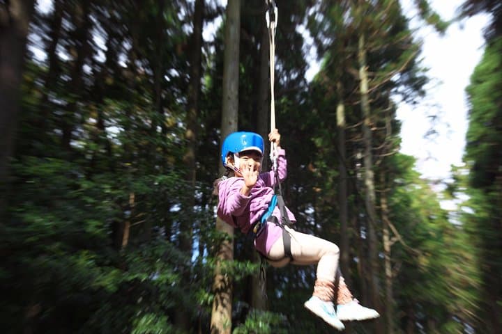 Aerial athletics (Zipline adventure) — photo 2