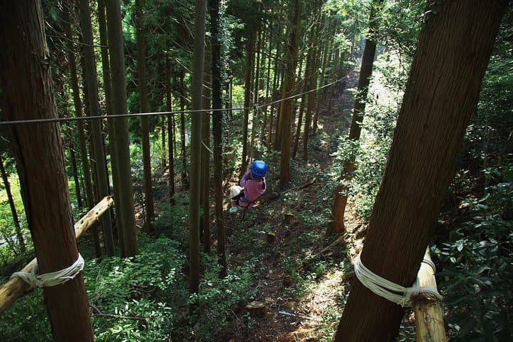 Aerial athletics (Zipline adventure) — photo 8