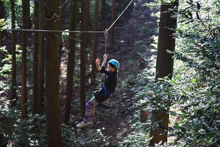 Aerial athletics (Zipline adventure) — photo 9