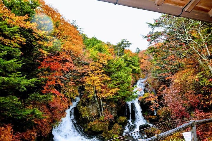 Daytrip to Nikko from Tokyo with local Japanese Photograher guide — photo 6