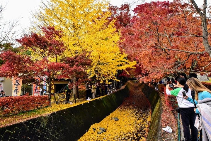 Mt. Fuji & Hakone day tour from Tokyo by car with JP local guide — photo 9