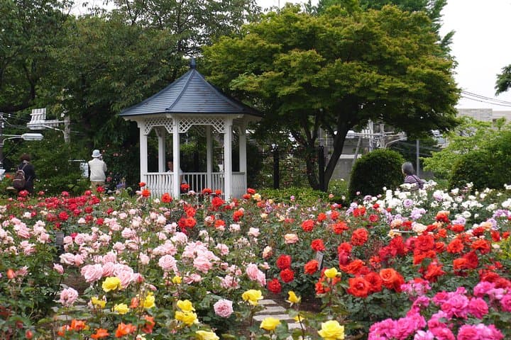 Yokohama and Kamakura 6hr Private Trip Government-Licensed Guide — photo 13