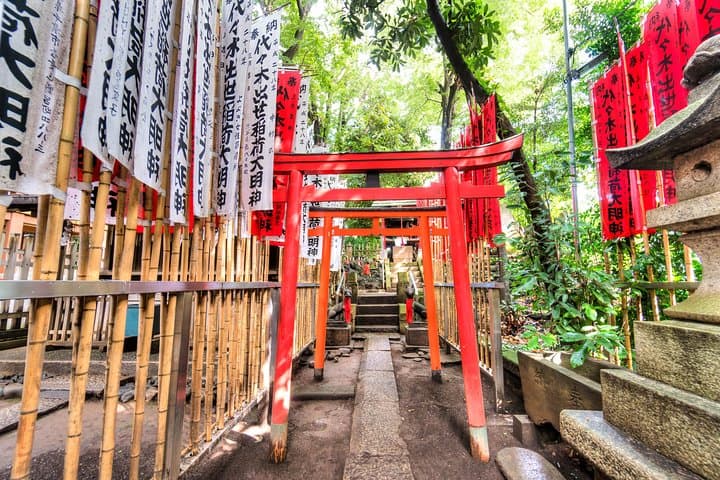 Tokyo Guided Small-Group Biking Tour — photo 14