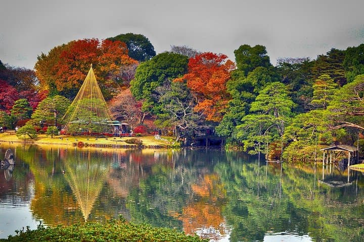 Tokyo Japanese Garden Lover's Private Tour with Government-Licensed Guide — photo 15