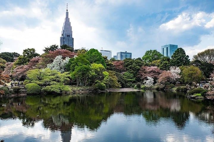 Tokyo Japanese Garden Lover's Private Tour with Government-Licensed Guide — photo 2