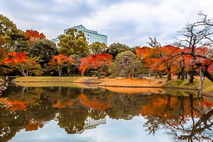 Tokyo Japanese Garden Lover's Private Tour with Government-Licensed Guide — photo 13