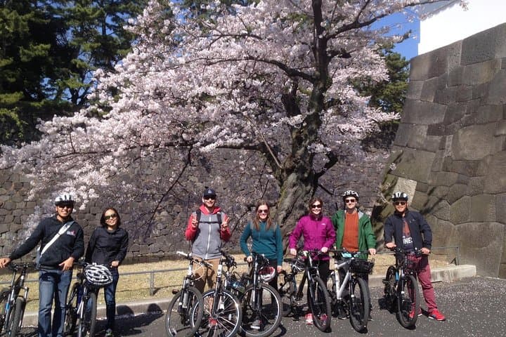 Small Group Cycling Tour in Tokyo — photo 7