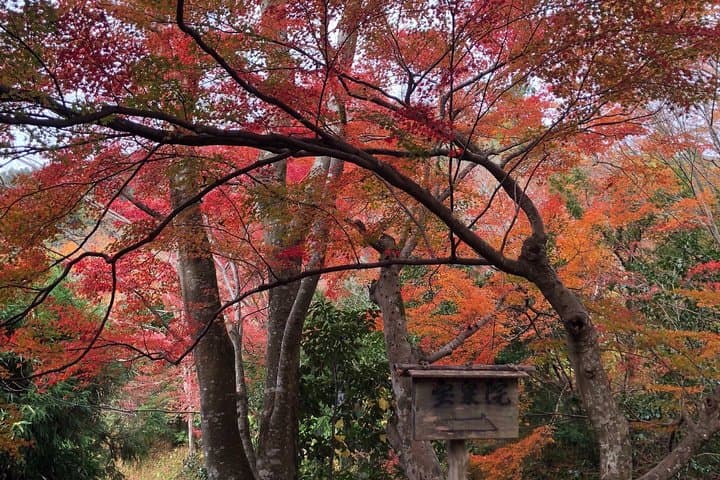 Private car tour in Kyoto (up to 4) — photo 3