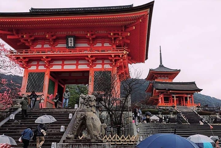 Carefree Private Exploration of Fushimi Inari, Gion, Kiyomizudera, and More — photo 12