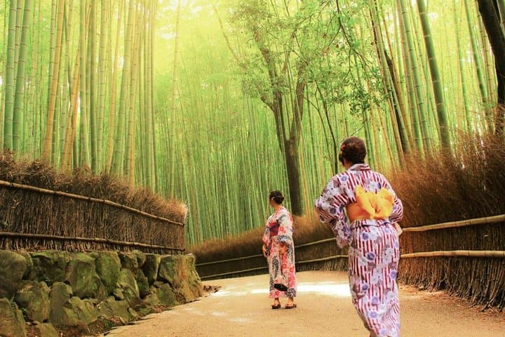 Kyoto Arashiyama & Sagano Bamboo Private Tour with Government-Licensed Guide — photo 16