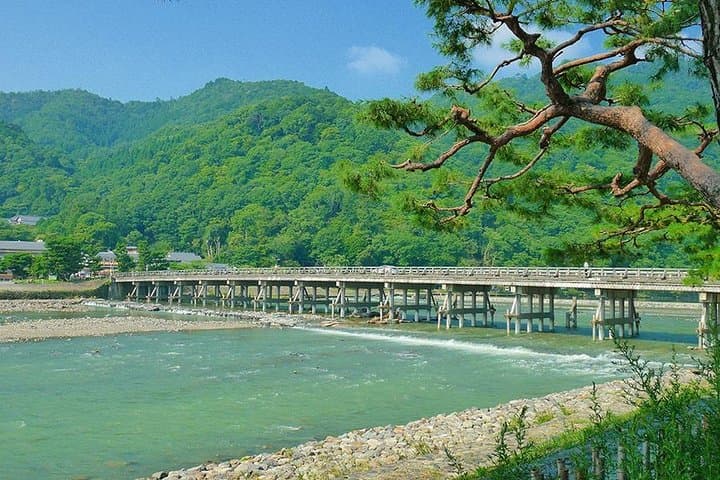 Kyoto Arashiyama & Sagano Bamboo Private Tour with Government-Licensed Guide — photo 17