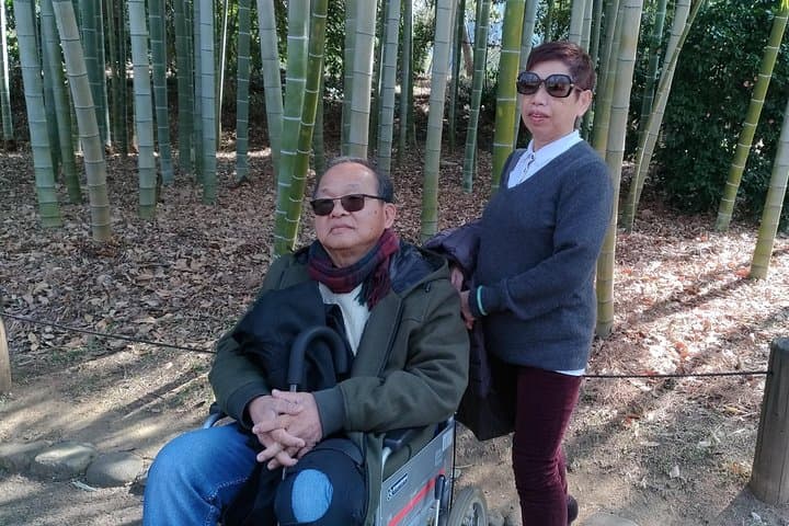 Kyoto Arashiyama & Sagano Bamboo Private Tour with Government-Licensed Guide — photo 8