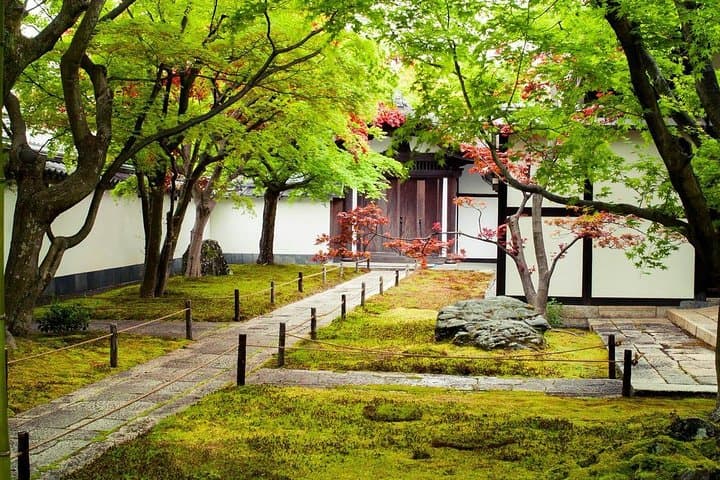 Kyoto Japanese Garden Lover's Private Tour with Government-Licensed Guide — photo 14