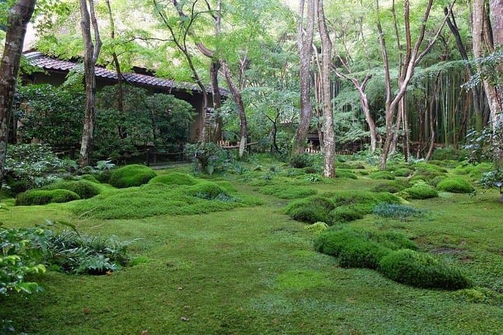 Kyoto Japanese Garden Lover's Private Tour with Government-Licensed Guide — photo 17