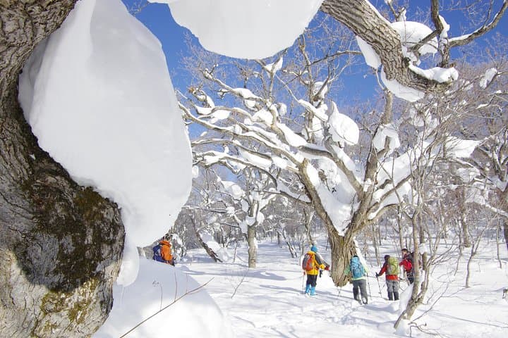 Fluffy New Snow and the Earth beating, Goshougake Oyunuma Snowshoeing Tour — photo 2