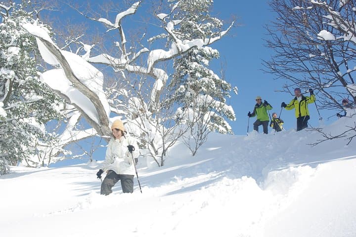 Fluffy New Snow and the Earth beating, Goshougake Oyunuma Snowshoeing Tour — photo 3