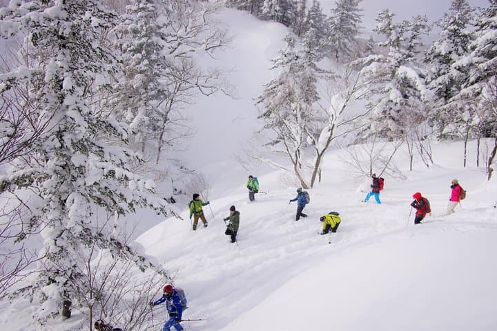 Fluffy New Snow and the Earth beating, Goshougake Oyunuma Snowshoeing Tour — photo 4